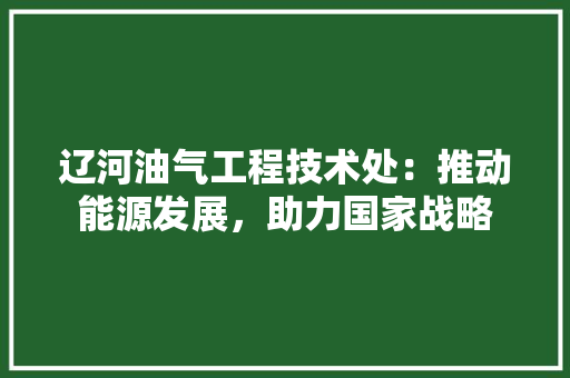 辽河油气工程技术处：推动能源发展，助力国家战略 室内设计