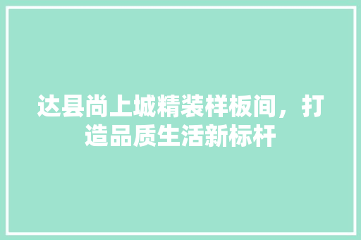 达县尚上城精装样板间，打造品质生活新标杆