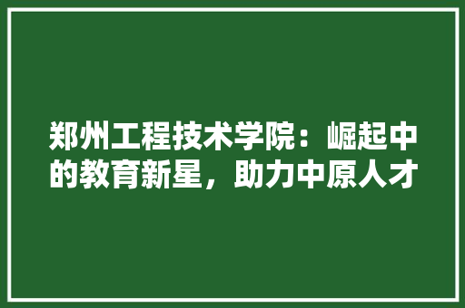 郑州工程技术学院：崛起中的教育新星，助力中原人才培养 室内设计