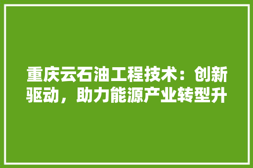 重庆云石油工程技术：创新驱动，助力能源产业转型升级 室内设计