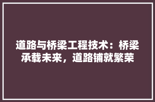 道路与桥梁工程技术：桥梁承载未来，道路铺就繁荣