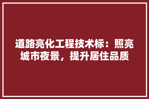 道路亮化工程技术标：照亮城市夜景，提升居住品质
