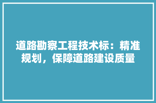道路勘察工程技术标：精准规划，保障道路建设质量
