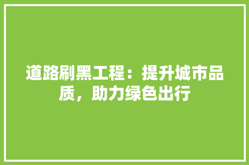 道路刷黑工程：提升城市品质，助力绿色出行 室内设计