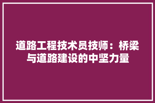 道路工程技术员技师：桥梁与道路建设的中坚力量