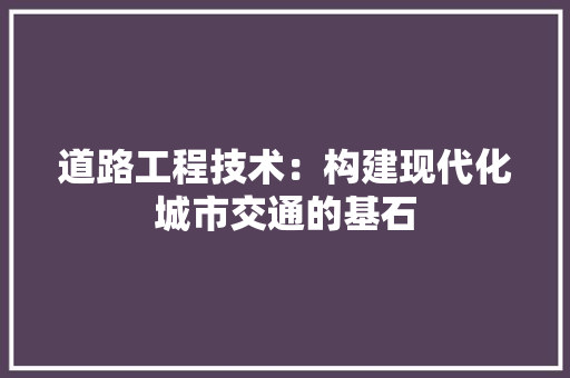 道路工程技术：构建现代化城市交通的基石 室内设计