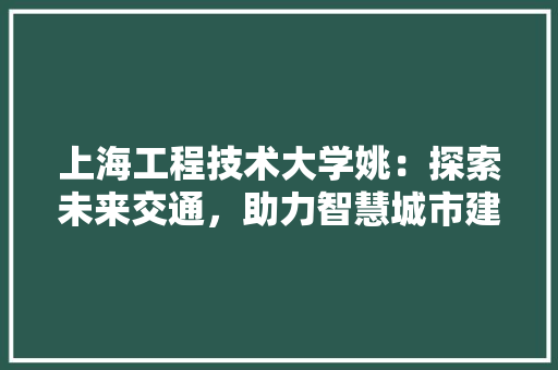 上海工程技术大学姚：探索未来交通，助力智慧城市建设 地板材料