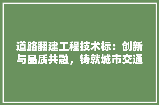 道路翻建工程技术标：创新与品质共融，铸就城市交通新篇章 室内设计