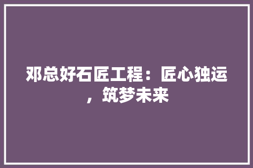 邓总好石匠工程：匠心独运，筑梦未来 室内设计