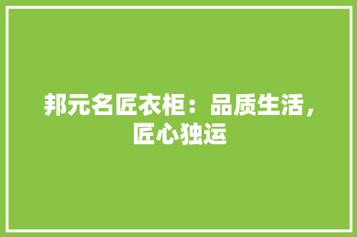 邦元名匠衣柜：品质生活，匠心独运 室内设计