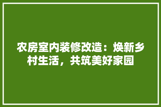 农房室内装修改造：焕新乡村生活，共筑美好家园 家居装修