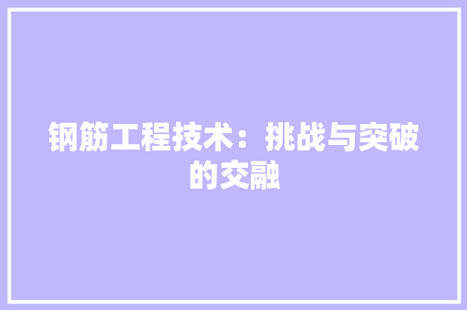 钢筋工程技术：挑战与突破的交融 室内设计