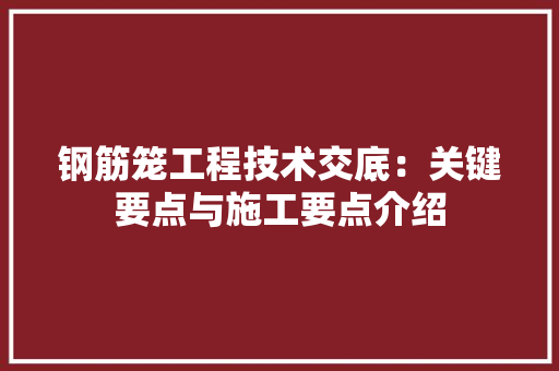 钢筋笼工程技术交底：关键要点与施工要点介绍 室内设计