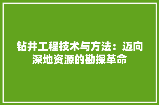 钻井工程技术与方法：迈向深地资源的勘探革命 室内设计