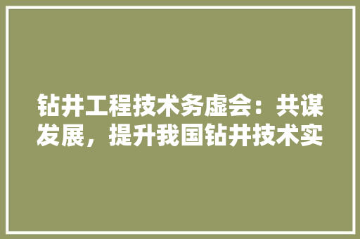 钻井工程技术务虚会：共谋发展，提升我国钻井技术实力 室内设计