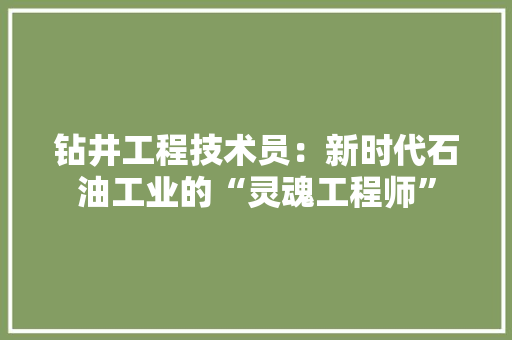 钻井工程技术员：新时代石油工业的“灵魂工程师” 室内设计