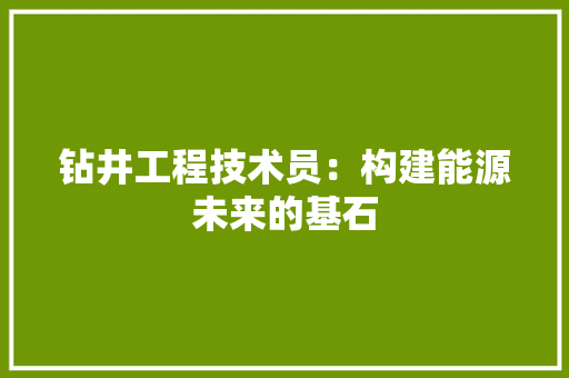 钻井工程技术员：构建能源未来的基石 室内设计