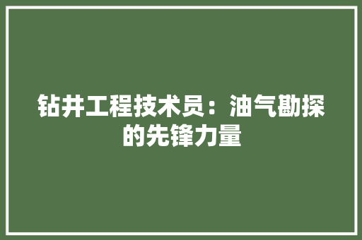 钻井工程技术员：油气勘探的先锋力量 室内设计