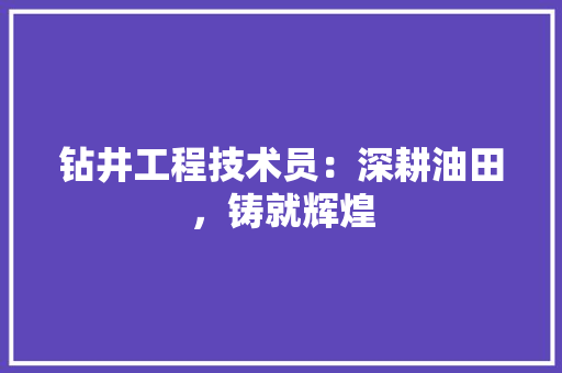钻井工程技术员：深耕油田，铸就辉煌 室内设计