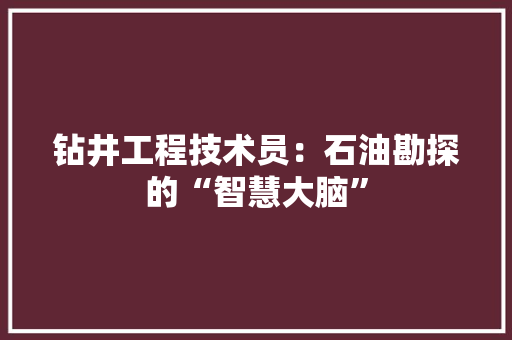 钻井工程技术员：石油勘探的“智慧大脑” 室内设计