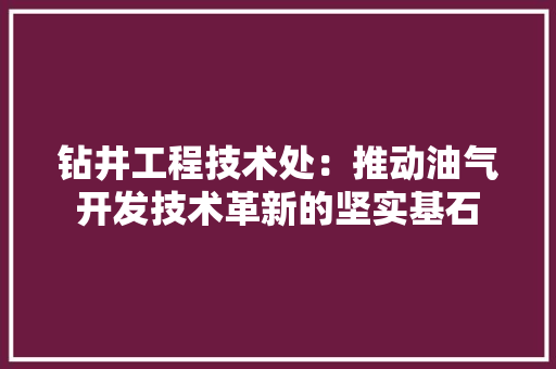 钻井工程技术处：推动油气开发技术革新的坚实基石 室内设计