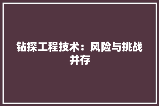 钻探工程技术：风险与挑战并存 室内设计