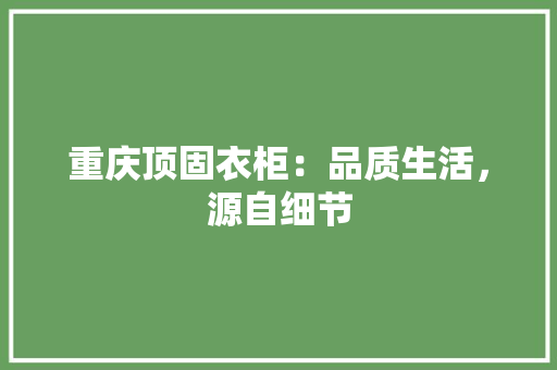 重庆顶固衣柜：品质生活，源自细节 室内设计