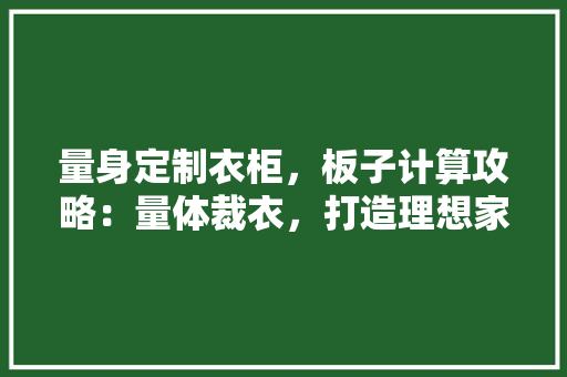 量身定制衣柜，板子计算攻略：量体裁衣，打造理想家居空间 室内设计