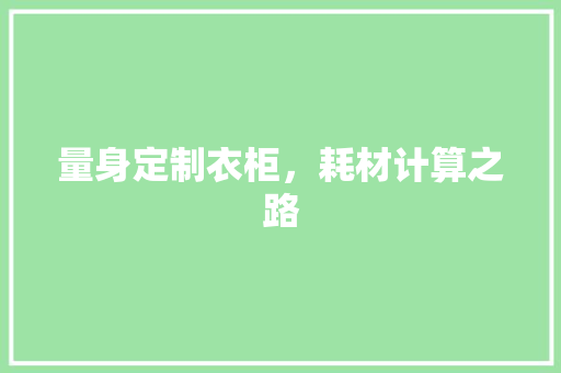 量身定制衣柜，耗材计算之路 室内设计