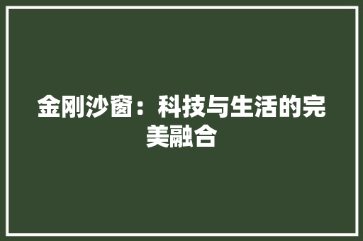 金刚沙窗：科技与生活的完美融合 室内设计