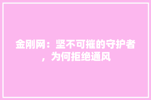 金刚网：坚不可摧的守护者，为何拒绝通风 室内设计