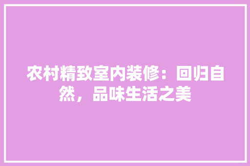 农村精致室内装修：回归自然，品味生活之美 家居装修