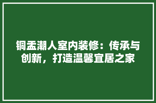 铜盂潮人室内装修：传承与创新，打造温馨宜居之家 室内设计