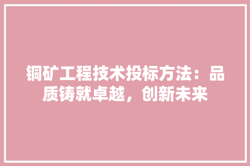铜矿工程技术投标方法：品质铸就卓越，创新未来 室内设计