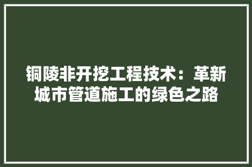 铜陵非开挖工程技术：革新城市管道施工的绿色之路 室内设计