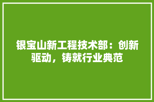 银宝山新工程技术部：创新驱动，铸就行业典范