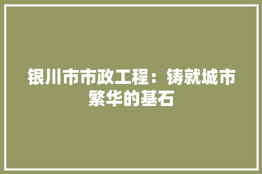 银川市市政工程：铸就城市繁华的基石 室内设计
