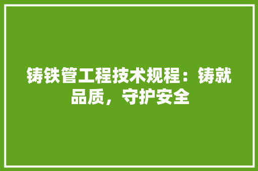 铸铁管工程技术规程：铸就品质，守护安全 室内设计