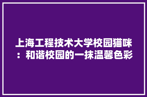 上海工程技术大学校园猫咪：和谐校园的一抹温馨色彩 地板材料