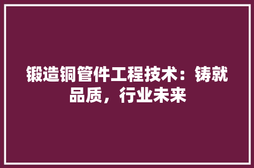 锻造铜管件工程技术：铸就品质，行业未来 室内设计