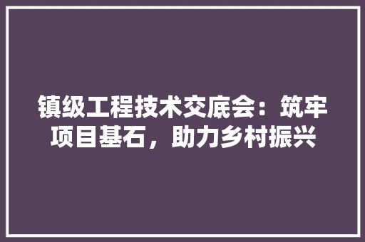 镇级工程技术交底会：筑牢项目基石，助力乡村振兴 室内设计