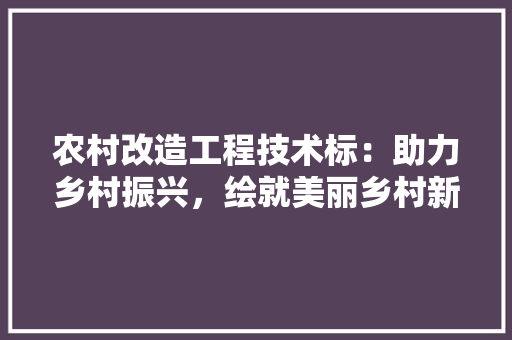 农村改造工程技术标：助力乡村振兴，绘就美丽乡村新画卷 家居装修