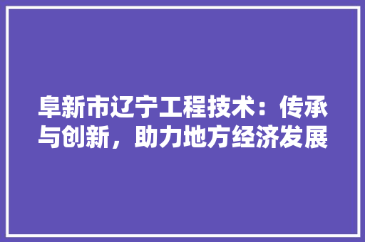 阜新市辽宁工程技术：传承与创新，助力地方经济发展新篇章 室内设计