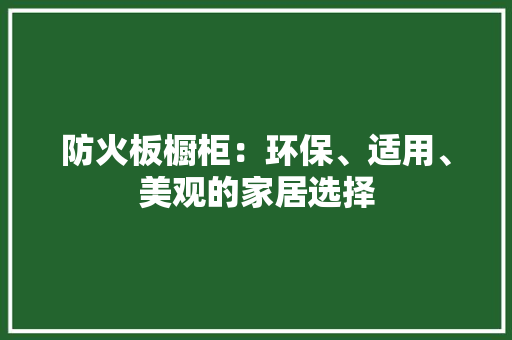 防火板橱柜：环保、适用、美观的家居选择 室内设计