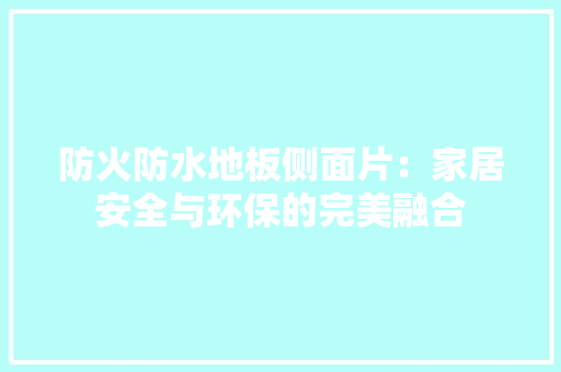 防火防水地板侧面片：家居安全与环保的完美融合 室内设计