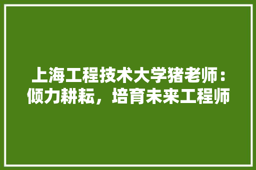 上海工程技术大学猪老师：倾力耕耘，培育未来工程师 地板材料
