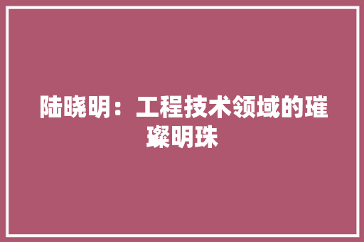 陆晓明：工程技术领域的璀璨明珠 室内设计