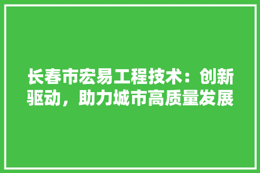 长春市宏易工程技术：创新驱动，助力城市高质量发展