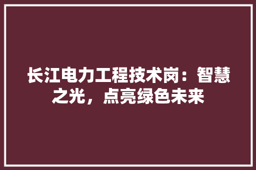 长江电力工程技术岗：智慧之光，点亮绿色未来 室内设计