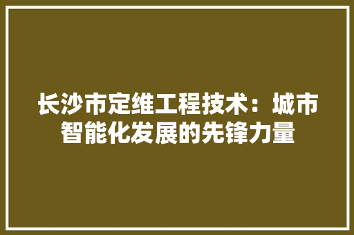 长沙市定维工程技术：城市智能化发展的先锋力量 室内设计